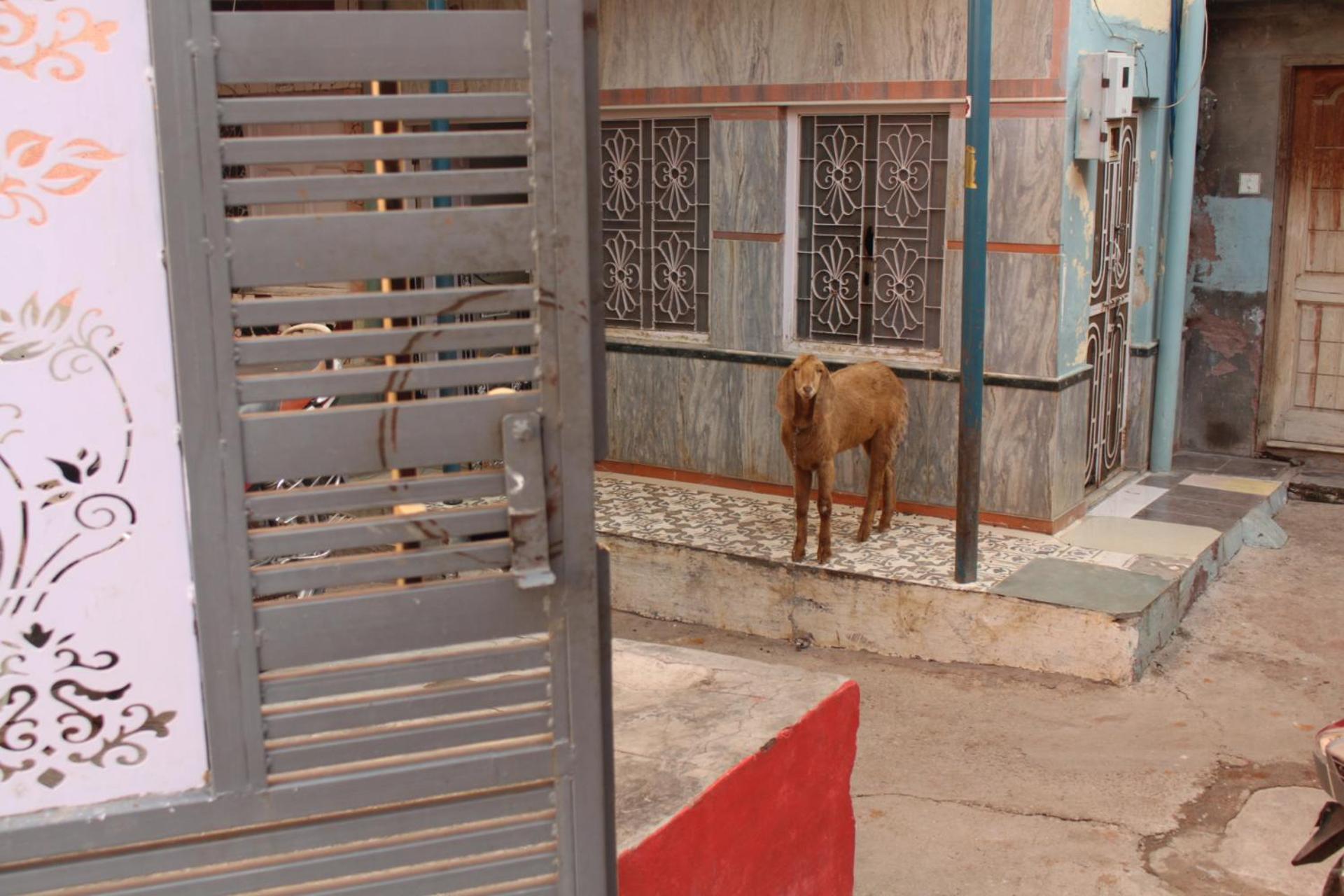 Little Prince Guest House & Homestay Bikaner Ngoại thất bức ảnh